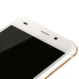 奥乐迪奥（aole dior）乐6 双卡双待移动4G智能手机，尽享尽速尽美体验